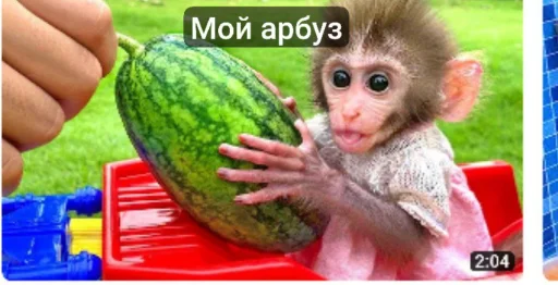 Bon bon obezIna @TgEmodziBot Bon bon obezIna @TgEmodziBot -