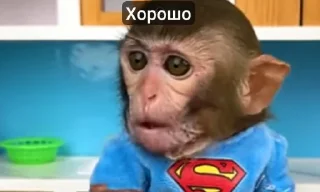 Sticker Bon bon obezIna @TgEmodziBot - 0