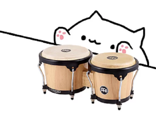 Bongo cat Bongo cat -