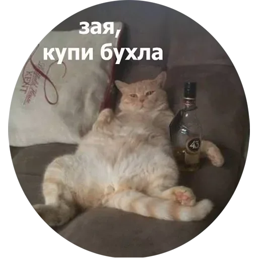 Bpx_9vDhtE Bpx_9vDhtE -