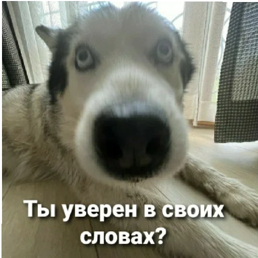 Бьтор Бьтор -