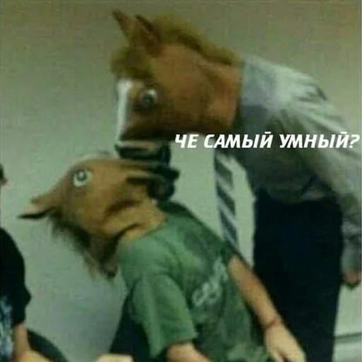 Человек Человек животное млекопитающее