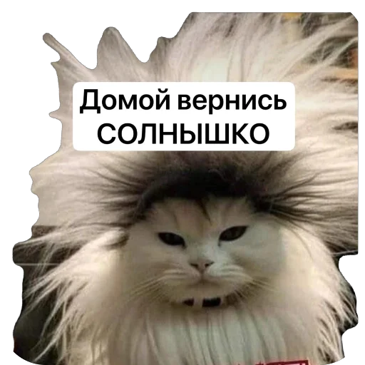 Буги Буги -