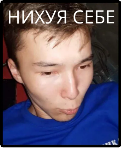 human face human face person eyebrow
