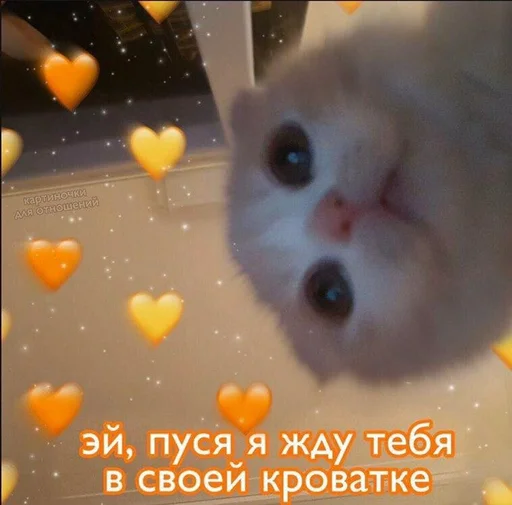 Няшечки от @raise555 Няшечки от @raise555 -