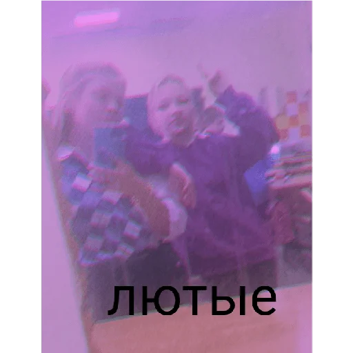 бибра бибра -
