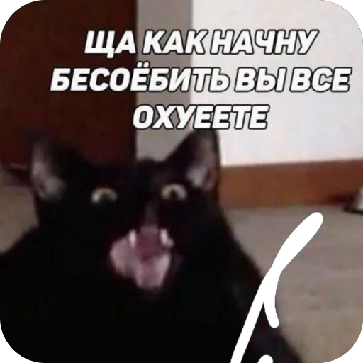 Чертята - 