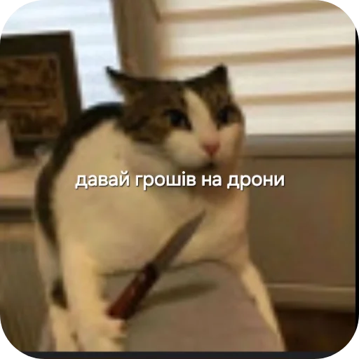 Чисто для чата СС Чисто для чата СС -