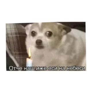 Sticker Член - 6