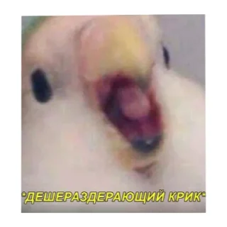 Sticker Член - 3