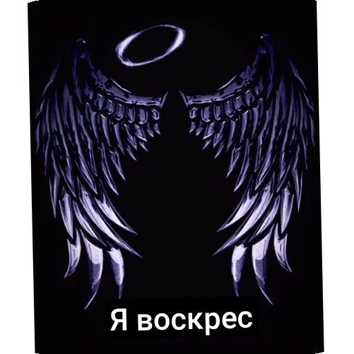 Чёрное небо Чёрное небо -