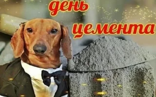 С днем ... С днем ... - животное