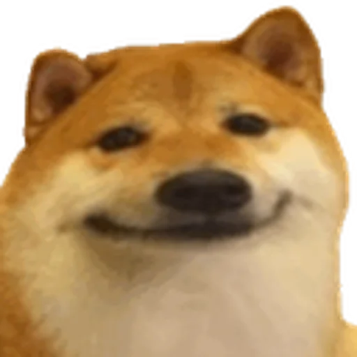 リコリス リコリス -