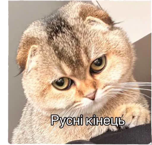 Капучіна Капучіна -