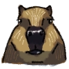 Capybara Are My Life
