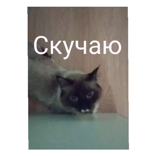 Лучшие стикеры—@lovesticers Лучшие стикеры—@lovesticers -
