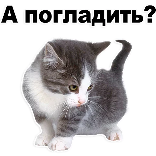Лучшие стикеры-@lovesticers Лучшие стикеры-@lovesticers -