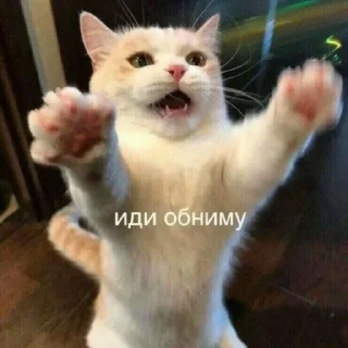 Sticker Котабрь - 8