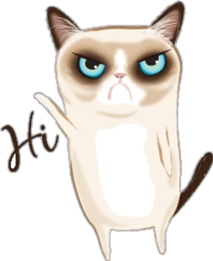 Cat in a bad mood Cat in a bad mood -