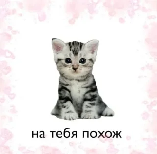 Sticker лучшие пикчи —-> @loveinpic - 0