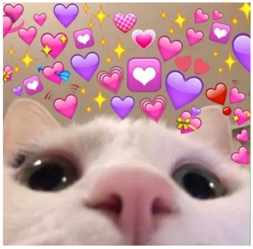 Котя 3 :: @fStikBot Котя 3 :: @fStikBot -