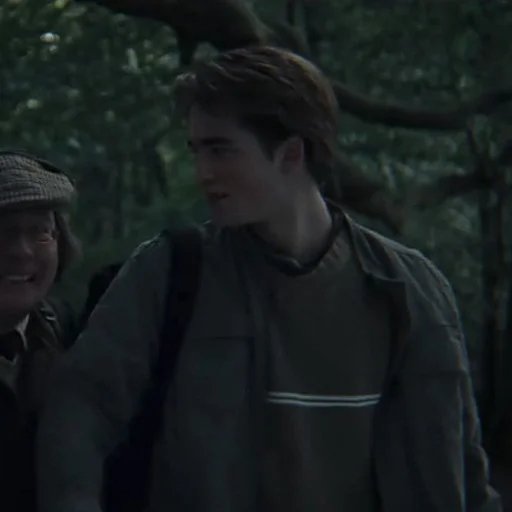 ✧ˎˊ Cedric Diggory • @Leviosaasticker ✧ˎˊ Cedric Diggory • @Leviosaasticker -