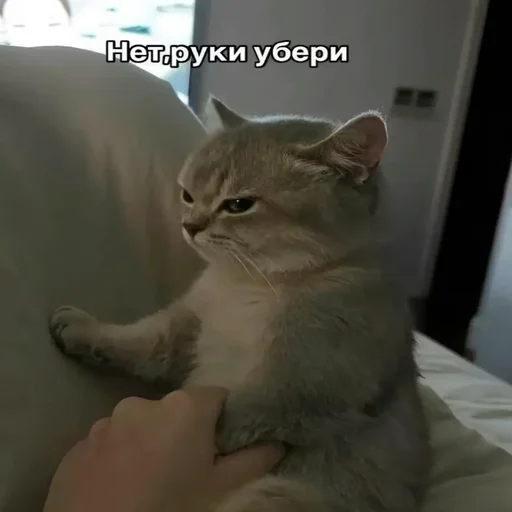 @chatt23 - НАШ ЧАТ @chatt23 - НАШ ЧАТ -