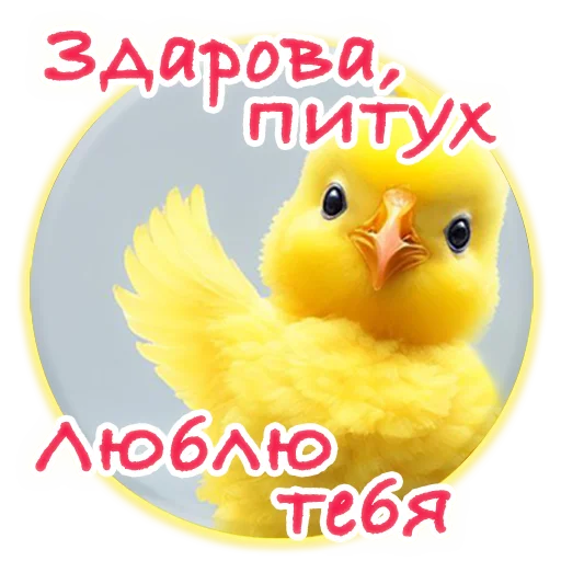 Crazy Chicken! @m_chicken Crazy Chicken! @m_chicken -