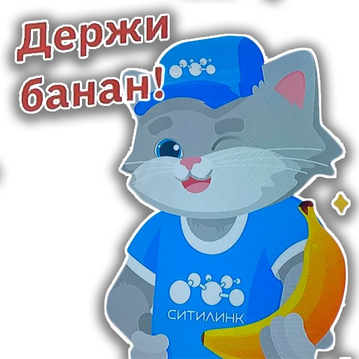 Citylink Citylink -