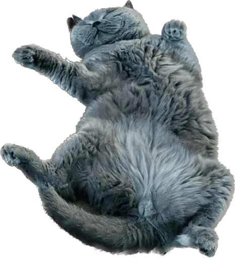 Скиф Скиф -