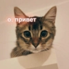 Для важных разговоров Для важных разговоров -