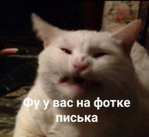 (@i_Love_Akame) Cvcv (@i_Love_Akame) Cvcv -
