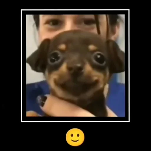 🙂 🙂 -