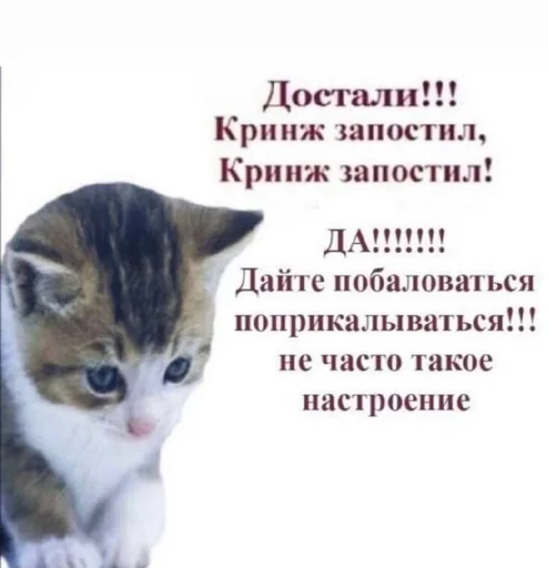 Создать стикеры|@EmojiRuBot Создать стикеры|@EmojiRuBot -