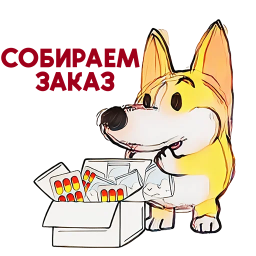 DOGMA#1SHOP DOGMA#1SHOP -
