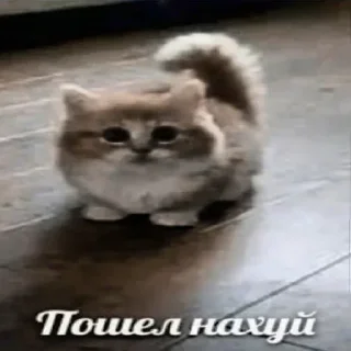 Стикер Больше стикеров 👉🏻 @stickertg4 - 2