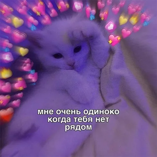 @StickersFuck1 @StickersFuck1 -