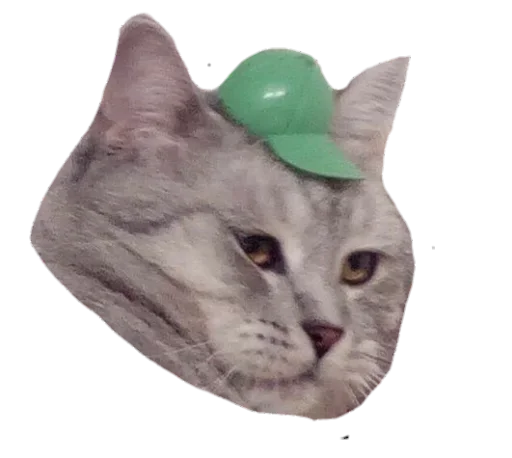 Sticker стикеры лизы!! :: @fStikBot - 3