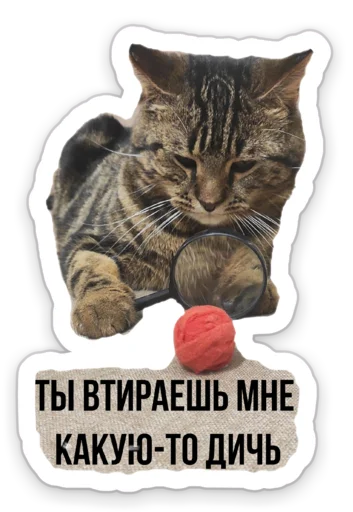 Sticker My cats - 0