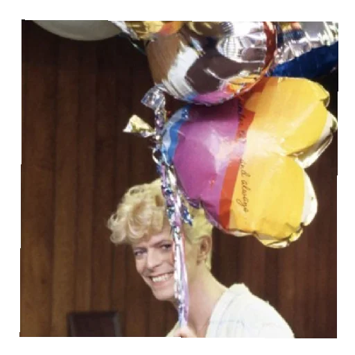 David Bowie David Bowie -