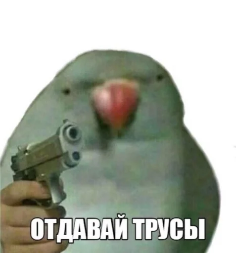 Stickers by sekranchik by @fStikBot Stickers by sekranchik by @fStikBot - СМС