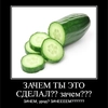 Демотиваторы by @meme_kingdom Демотиваторы by @meme_kingdom - text