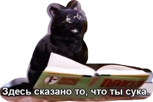 Дикпик только без дикпиков Дикпик только без дикпиков -