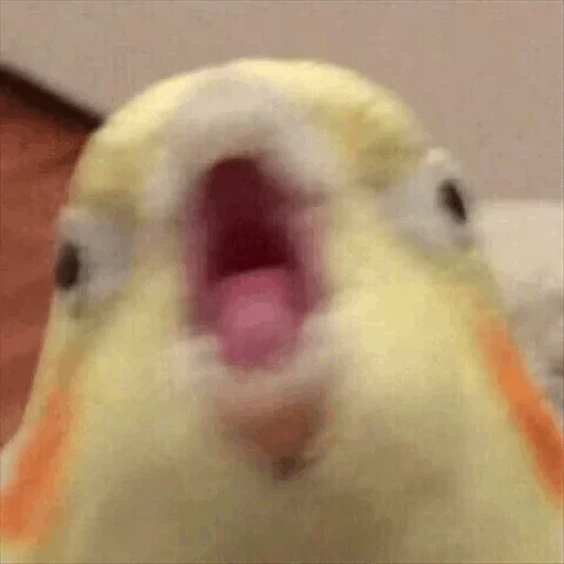 :з :з -