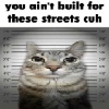 diselmancats - 