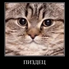 Хуй by @fStikBot Хуй by @fStikBot - СМС