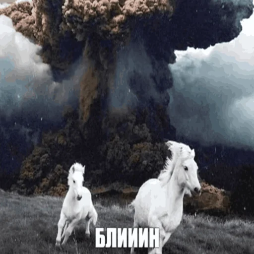 Зъз (@podvallisogo) - 
