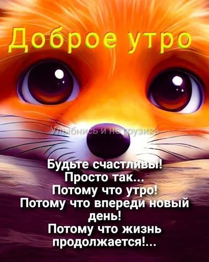 Доброе утро Спокойной ночи Доброе утро Спокойной ночи -
