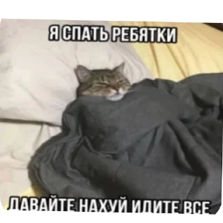 Стикер Добри котики - 0