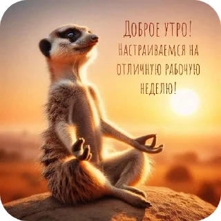 Стикер Доброе утро - 8